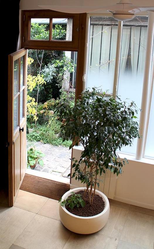 Atelier D'Artiste / Artist Loft / 35M2 Lejlighed Paris Eksteriør billede